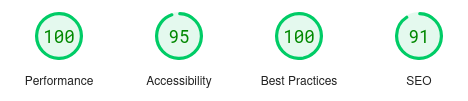 PageSpeed Insights Scores: Performance=100, Accessibility=95, Best Practices=100, SEO=91